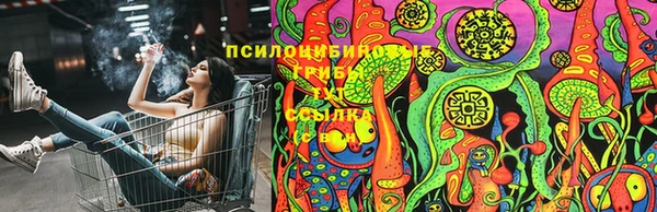 ALPHA-PVP Остров