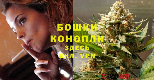 твердый Осинники