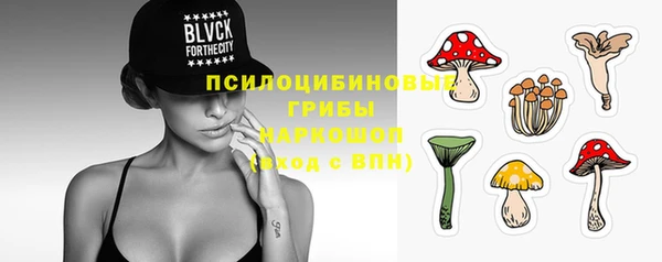 ALPHA-PVP Остров