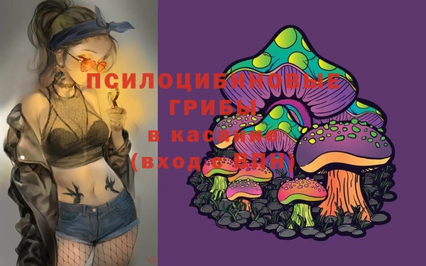 ALPHA-PVP Остров