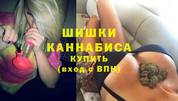 твердый Осинники