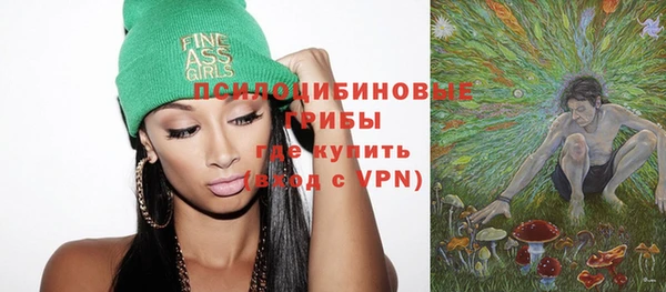 амф Осташков